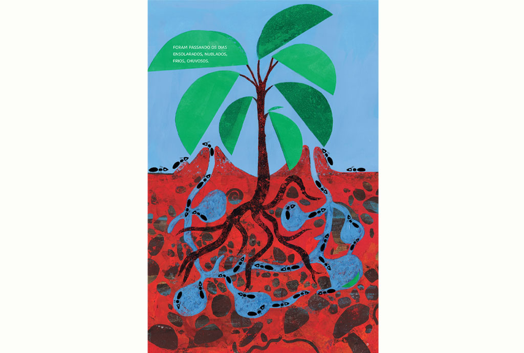 por dentro e por fora